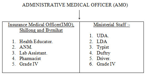 Organisational Chart of the Office of the Administrative Medical Officer